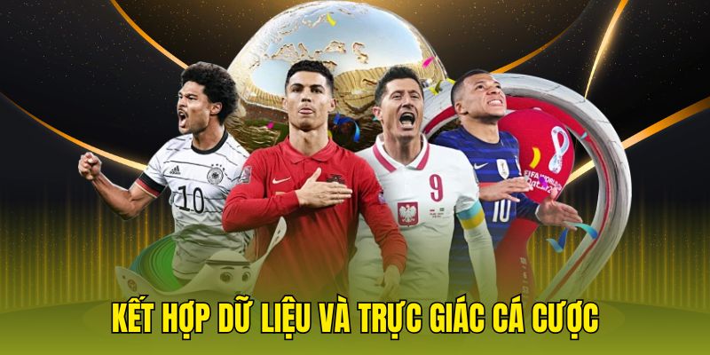 Kết hợp dữ liệu và trực giác cá cược