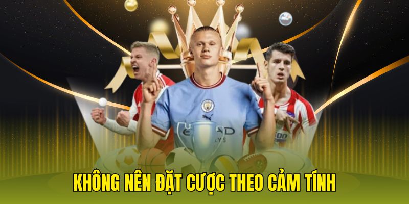 Không nên đặt cược theo cảm tính